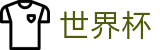 2026美加墨世界杯-见证绿茵传奇
